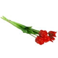 e88c311feeccd84858f3ff4aa5160088