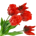 09fec26af79e830c74366d0d11cf5892