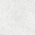 f485812c9e10512cfcede4b04604deca