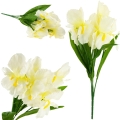 172f999601e46f6f244204fb7a219b06