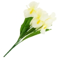ee43d254151ed7291dd39e26bb743aa6