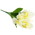 555dec7b70ef80eba276d065dd490da5