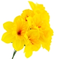 82b11f70c24fec987bd61ff3889bd2b1