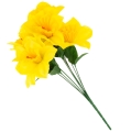 000c4b2d8b2a7df577a6a6aab55fc665