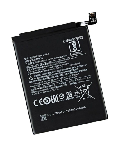 bn47.jpg