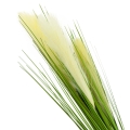 40c0ec305a7b6e80aa6423f775b78486
