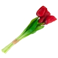 71bb462110e53781be0e64de30077f5d