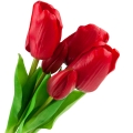 17df0478627d4daf9fdb9af259e93e9f