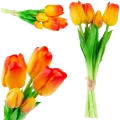 de3d9d4aa0b212a05e0b8ff288be0976