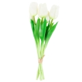 66ec56bdf49ff08bc5fc51c98b4deb5b