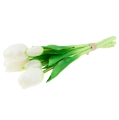 892f40df8c381a1a198ec241441ede46