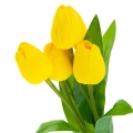 6cdd6f6d8ff2557ea8ed3b48c89bca5c