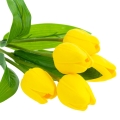 ab343c786d1677784f425dd8f641666b