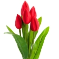 1283ab5e5060ca28af8a4fda6ec9cbd1