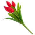 0eadb1ad17dc97eb3f88bd83321e9e30