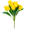 caf24d0d6ea9100e887f7ff9f3ff470a