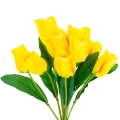 cf00440cf448a84d4b3cbce3ce3c4be5