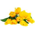 a49ea916c5bec07c9ec5b1b41921ef5f