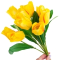 4d2a80d86724aea57db595bf669458b4