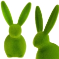 7b2775f7c735c5c49ece86fa17562d40