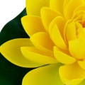 25a6a853b8b504be1ecc2eaf1ac532c1