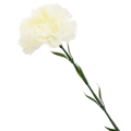 1ea4d4d07abdab4cf29becc9edfbb94f