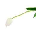 b8ff22f0f3f71aaf1e35aeba9d9a796a
