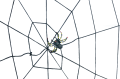 tg38899-1_1.png