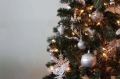 e111c05274888d294163e5399106c0e1