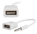 AK290 ADAPTER AUX MINI JACK3.5MM USB