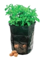 AG691 TORBA DO SADZENIA 330X470MM DONICA