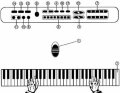 AG278E KEYBOARD ORGANY Z MIKR. 61KL SILV