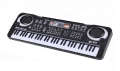 AG278D KEYBOARD ORGANY Z MIKROFONEM 61KL