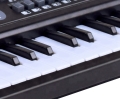 AG278D KEYBOARD ORGANY Z MIKROFONEM 61KL